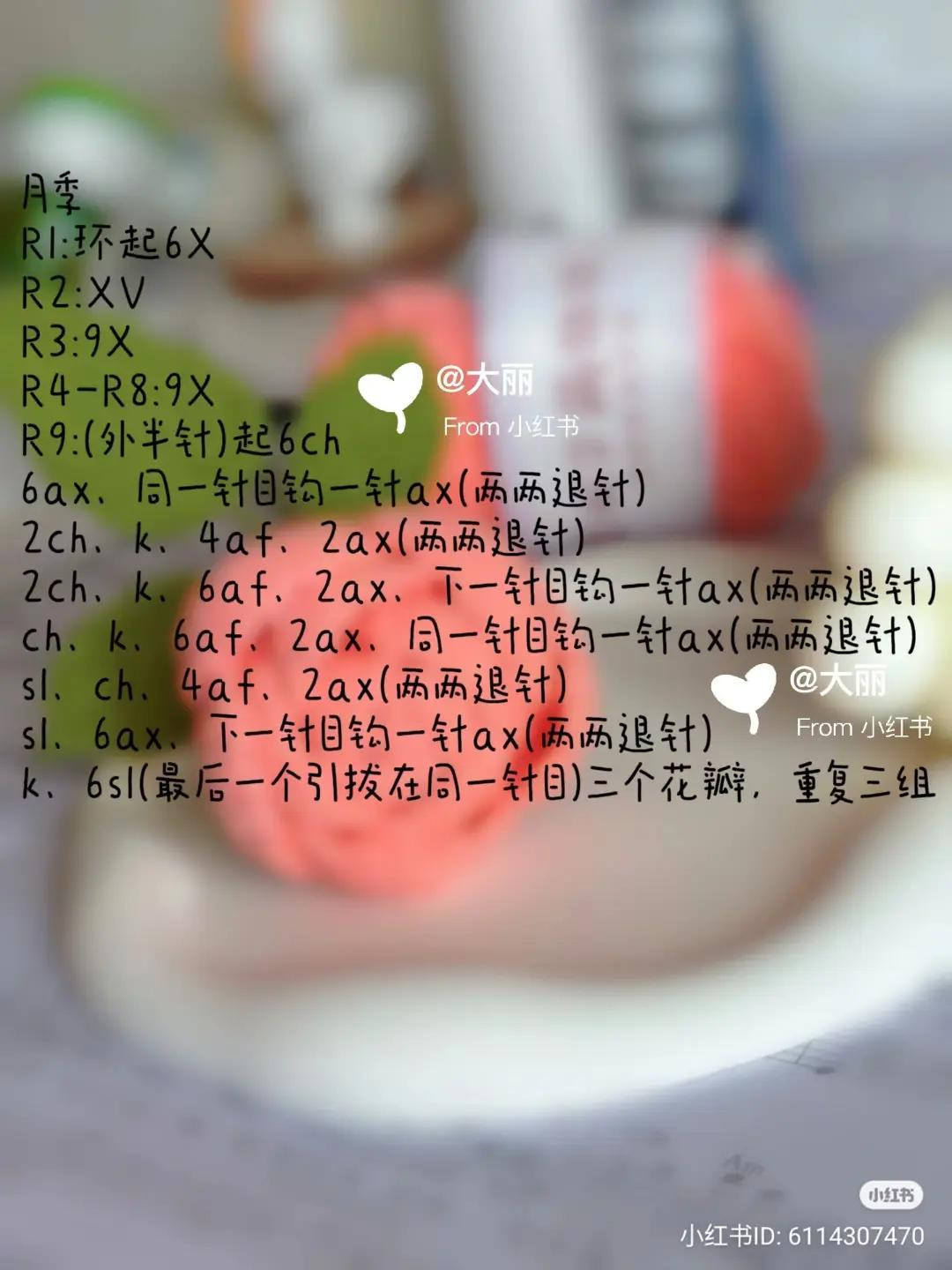 Crochet Monthly Rose Pattern Tutorial with Detailed Chart and Instructions