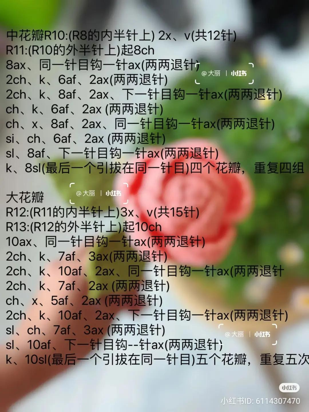 Crochet Monthly Rose Pattern Tutorial with Detailed Chart and Instructions