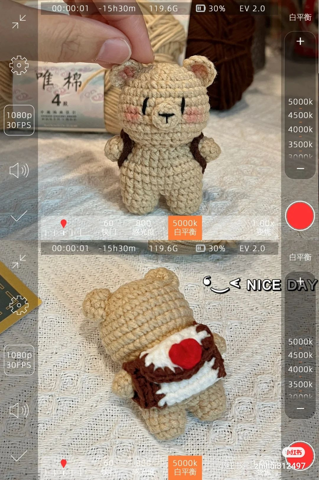 Crochet Pattern Chart for Cute Beige Bear with Backpack