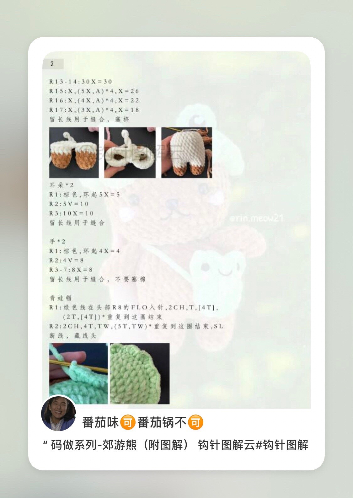 Crochet Pattern for Cute Brown Bear with Frog Hat and Bag