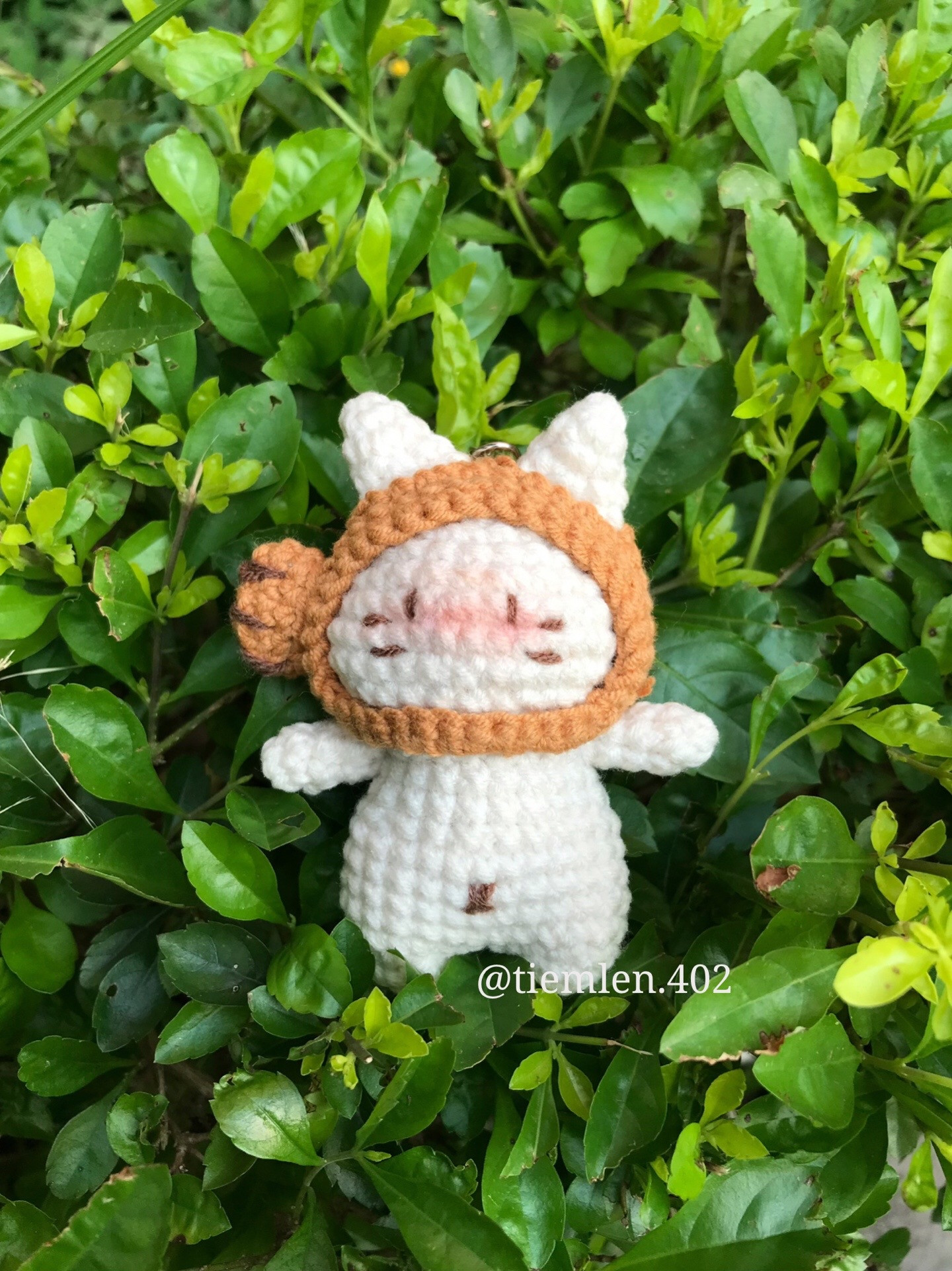 Crochet Pattern for Cute Cat in Fish Costume Amigurumi Keychain