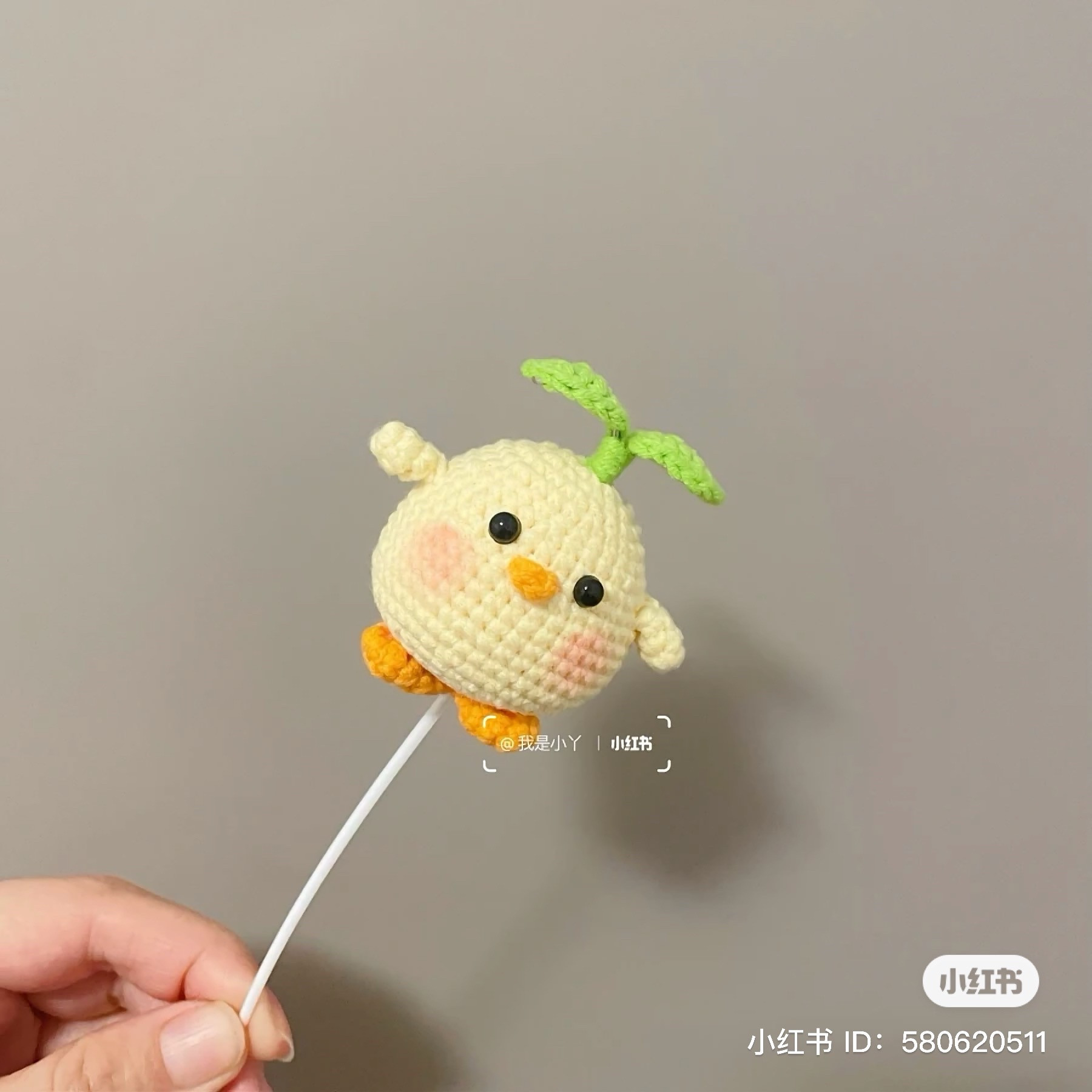 Crochet Pattern for Cute Sprouting Chicken Amigurumi
