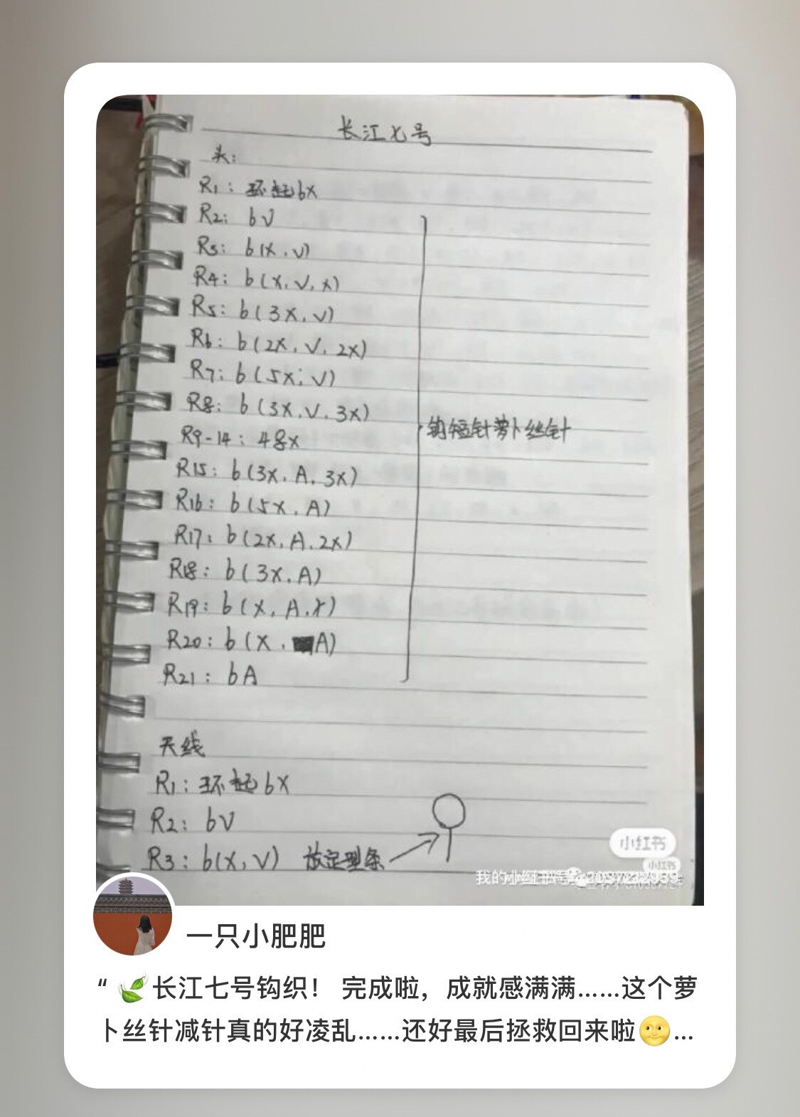 Crochet Pattern for D7 Alien Doll: Handwritten Chart Instructions