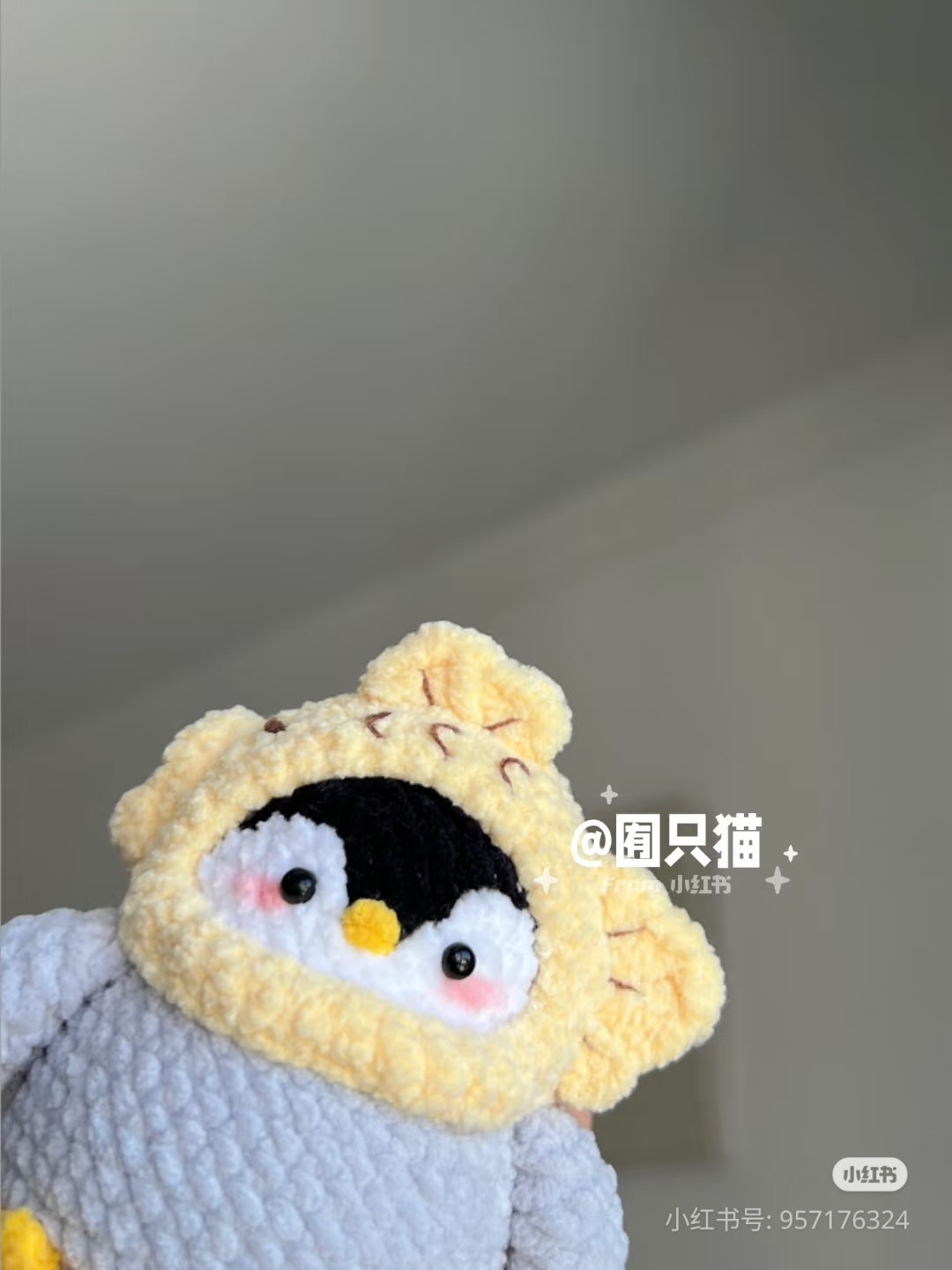 Crochet Penguin Taiyaki Doll Pattern Chart with Hoodie