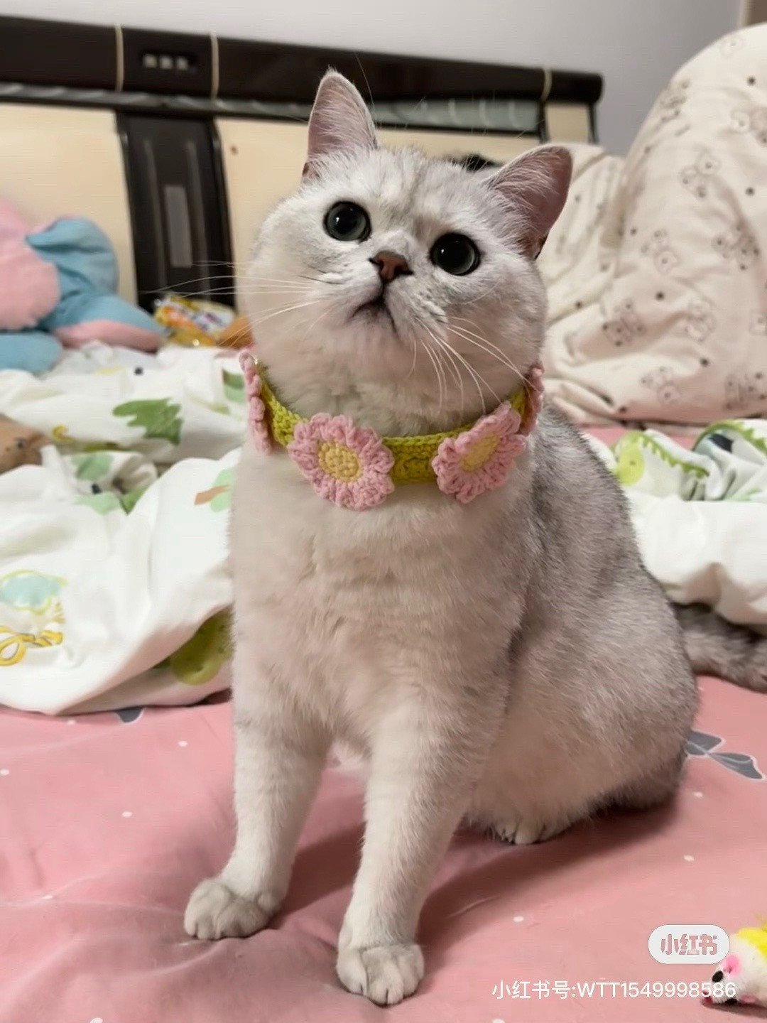 Crochet Pet Daisy Collar Pattern with Pink Flowers and Green Leaves