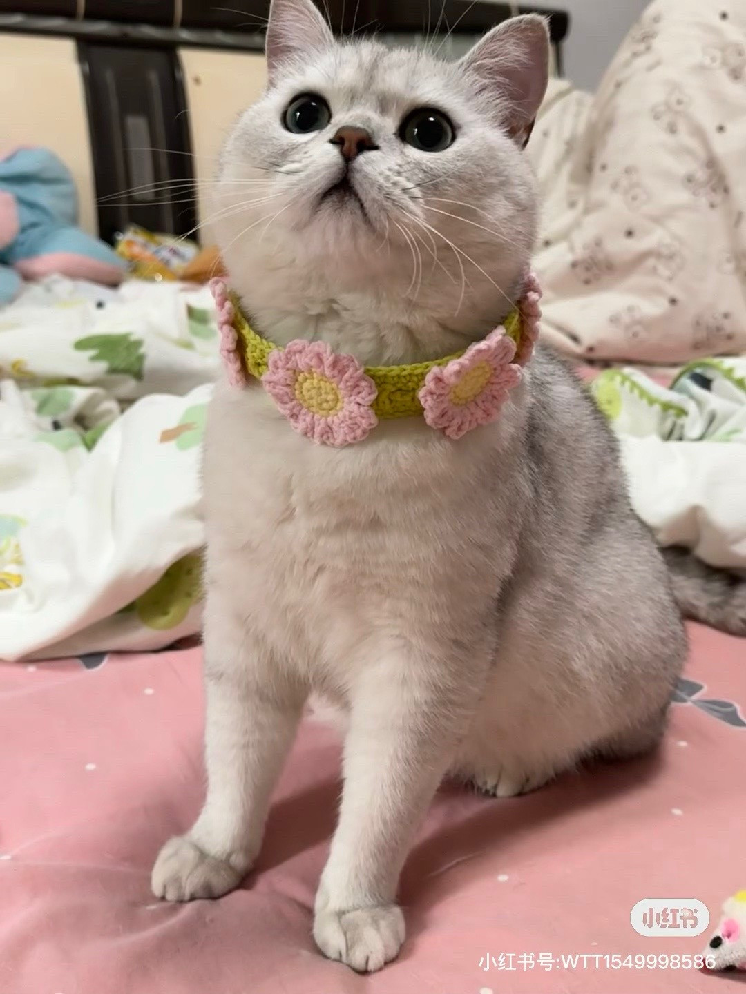Crochet Pet Daisy Collar Pattern with Pink Flowers and Green Leaves