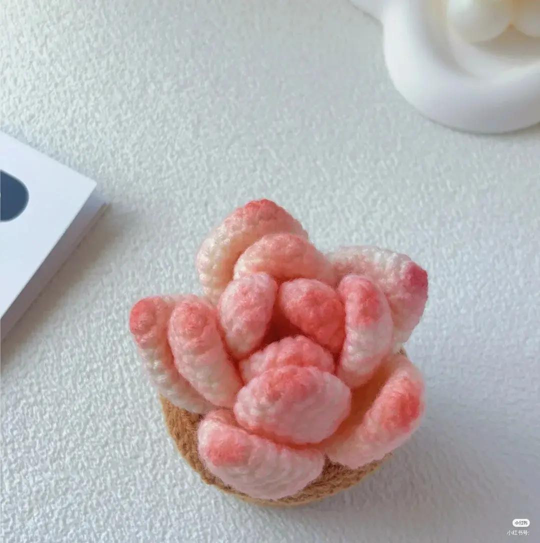 Crochet Pink Succulent Plant with Pot Pattern Chart