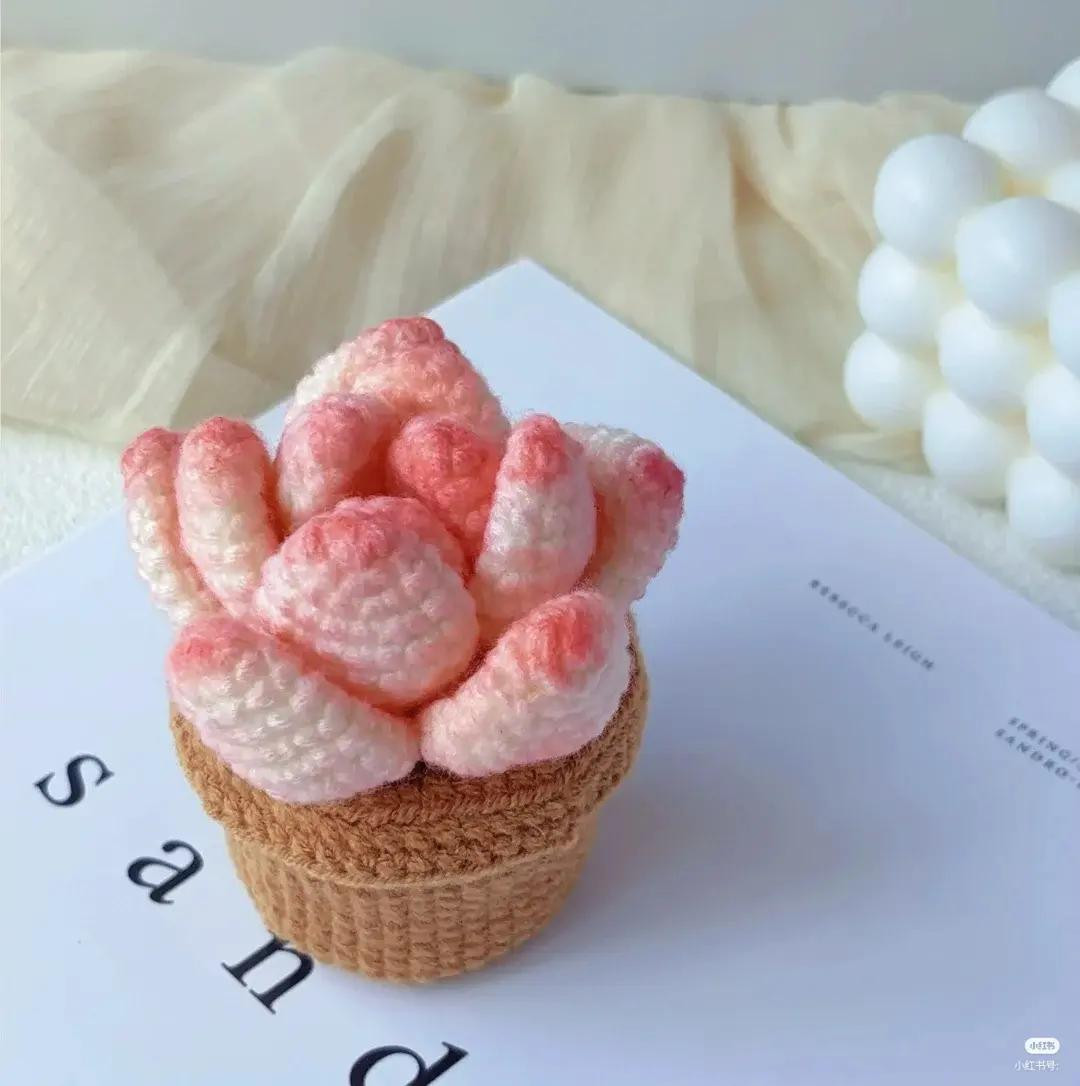 Crochet Pink Succulent Plant with Pot Pattern Chart