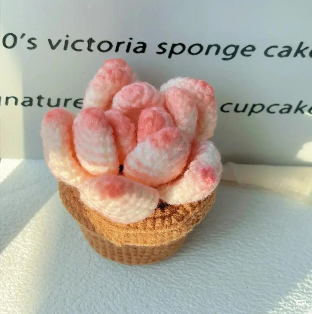 Crochet Pink Succulent Plant with Pot Pattern Chart