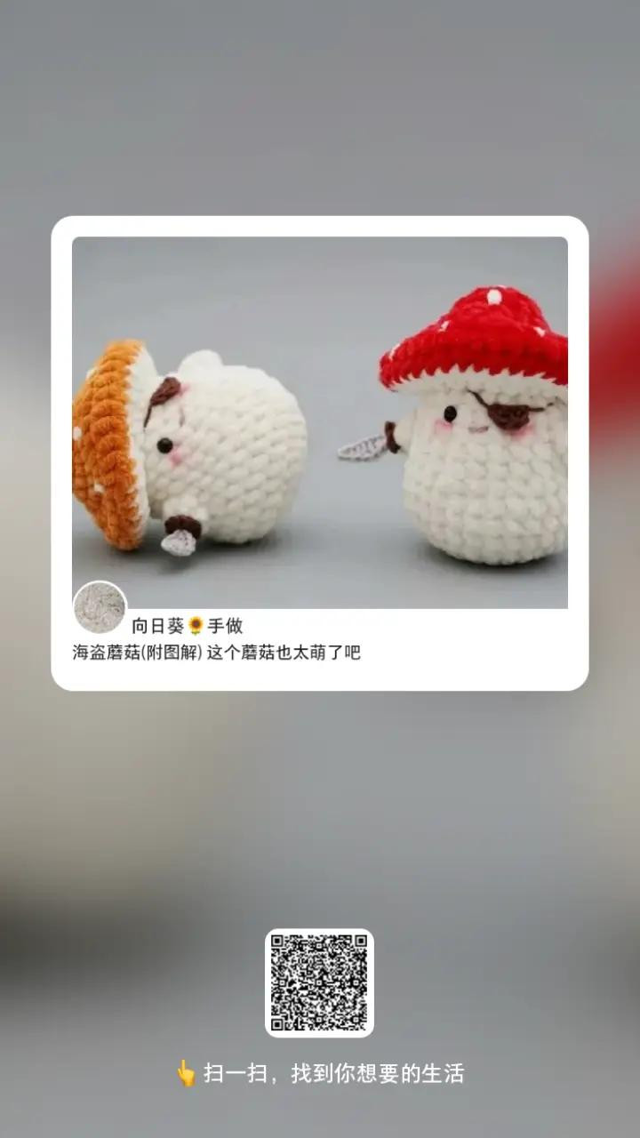 Crochet Pirate Mushroom, Frog Keychain and Cat Bag Amigurumi Patterns