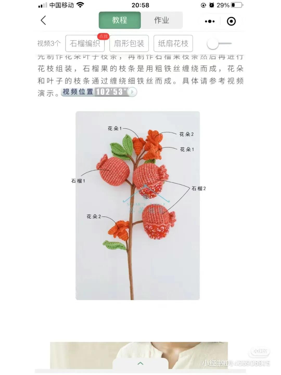 Crochet Pomegranate Flower Branch Chart and Tutorial