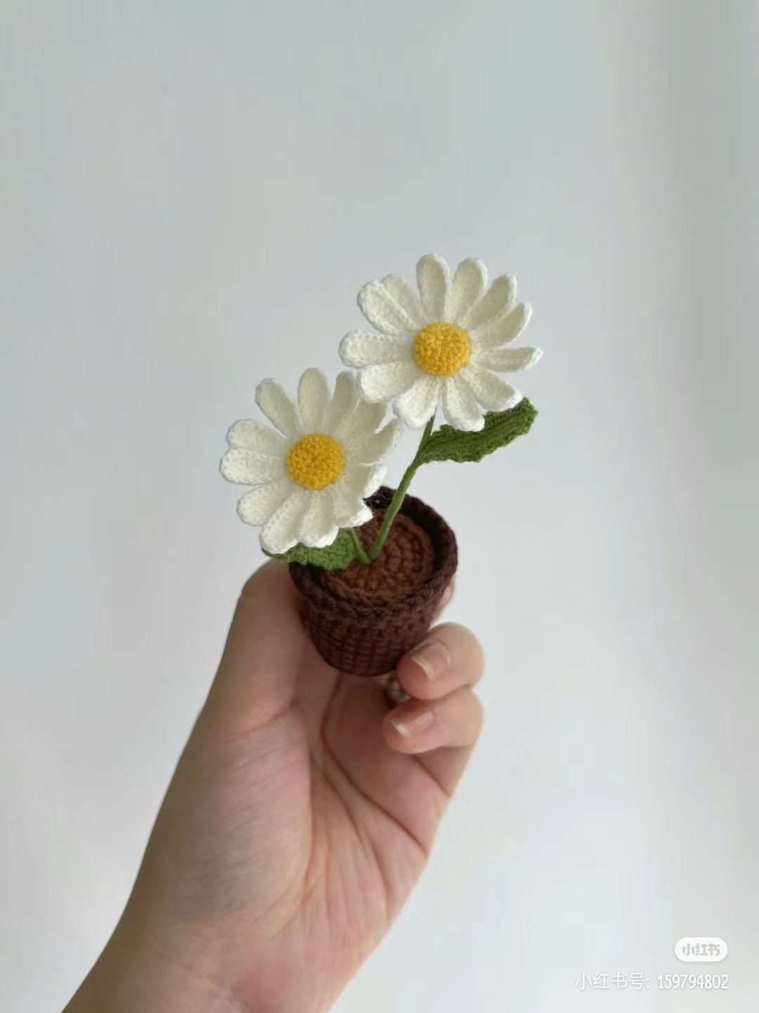 Crochet Potted Daisy Pattern with Detailed Chart