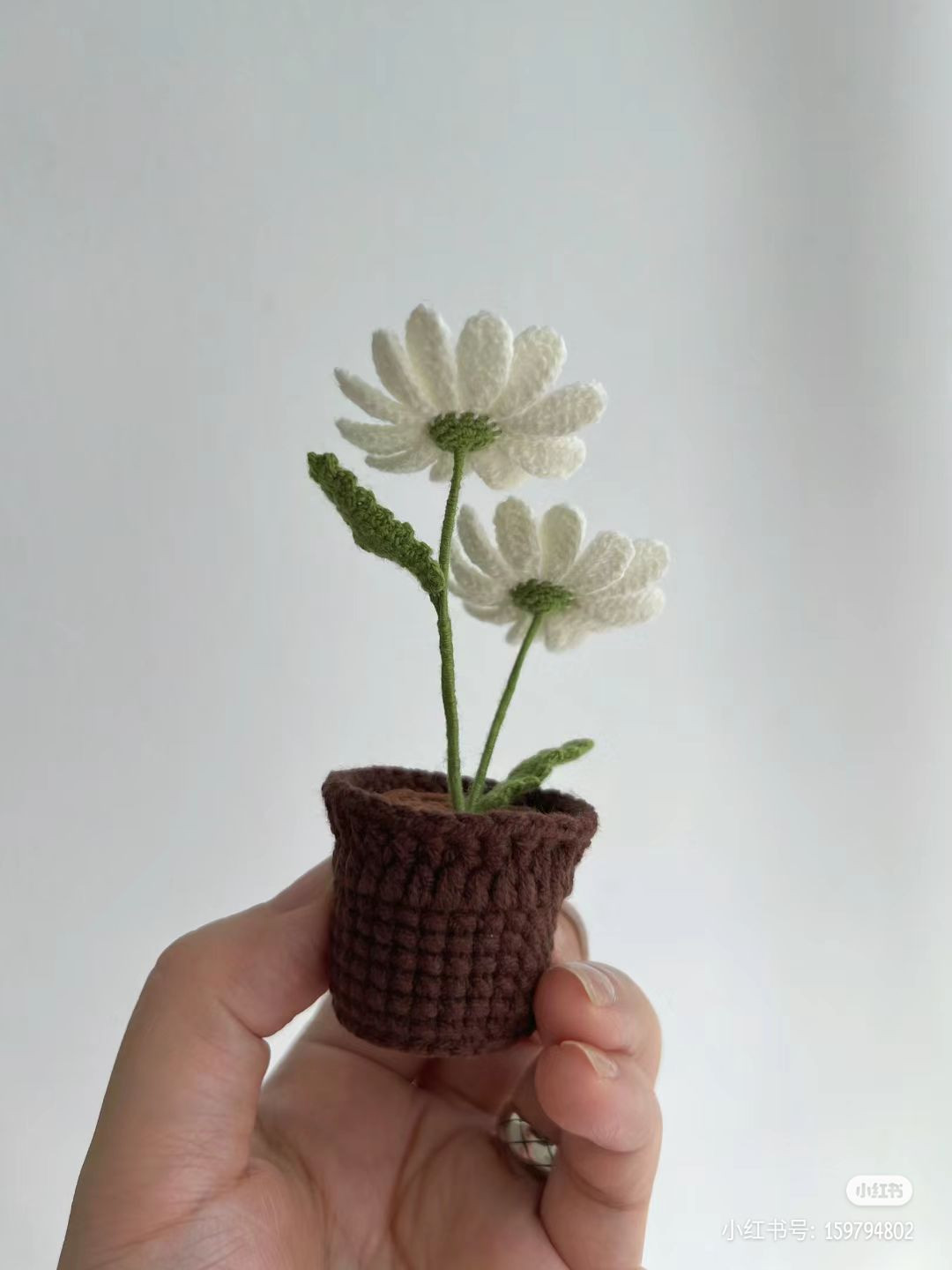 Crochet Potted Daisy Pattern with Detailed Chart