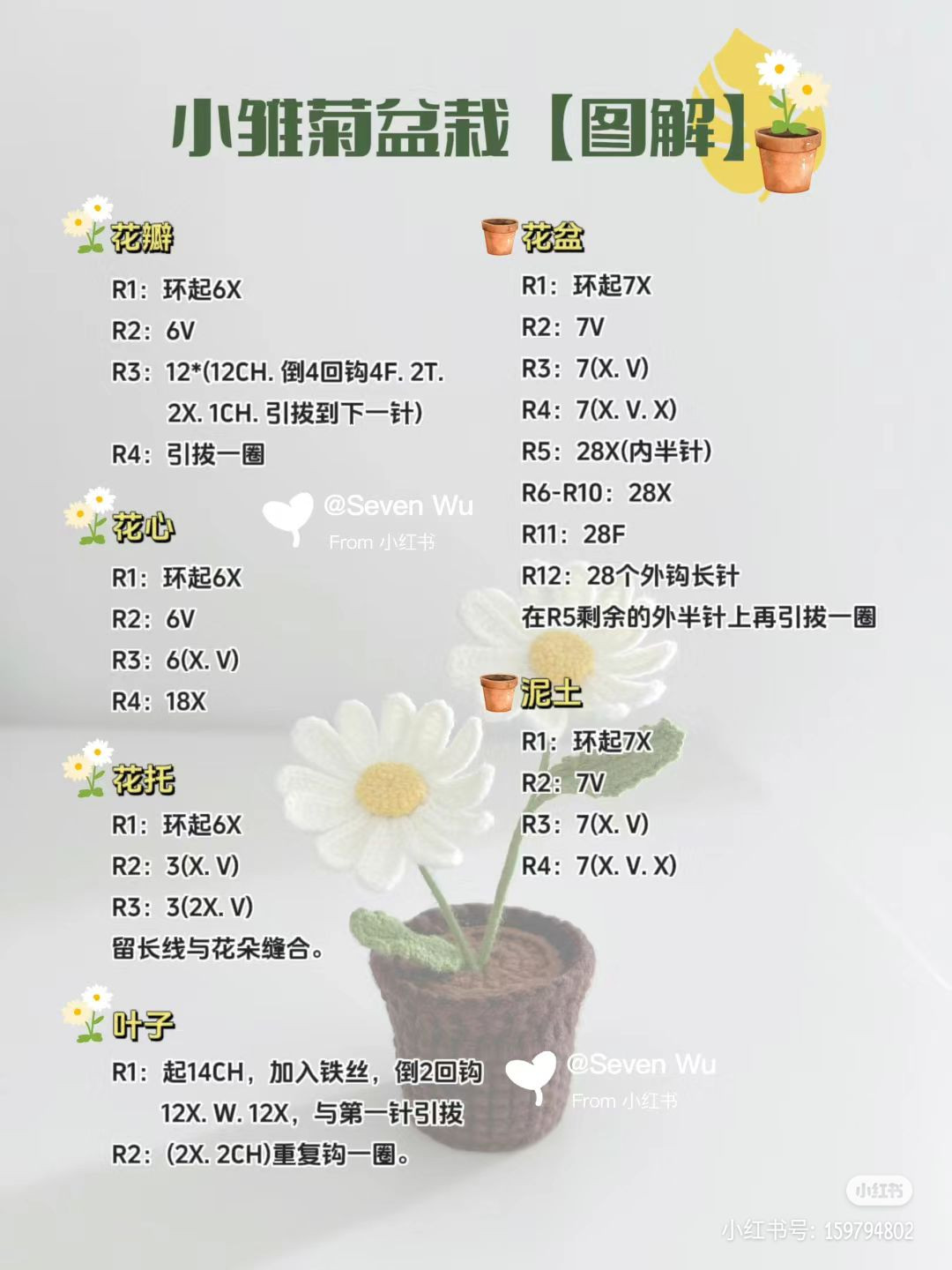 Crochet Potted Daisy Pattern with Detailed Chart