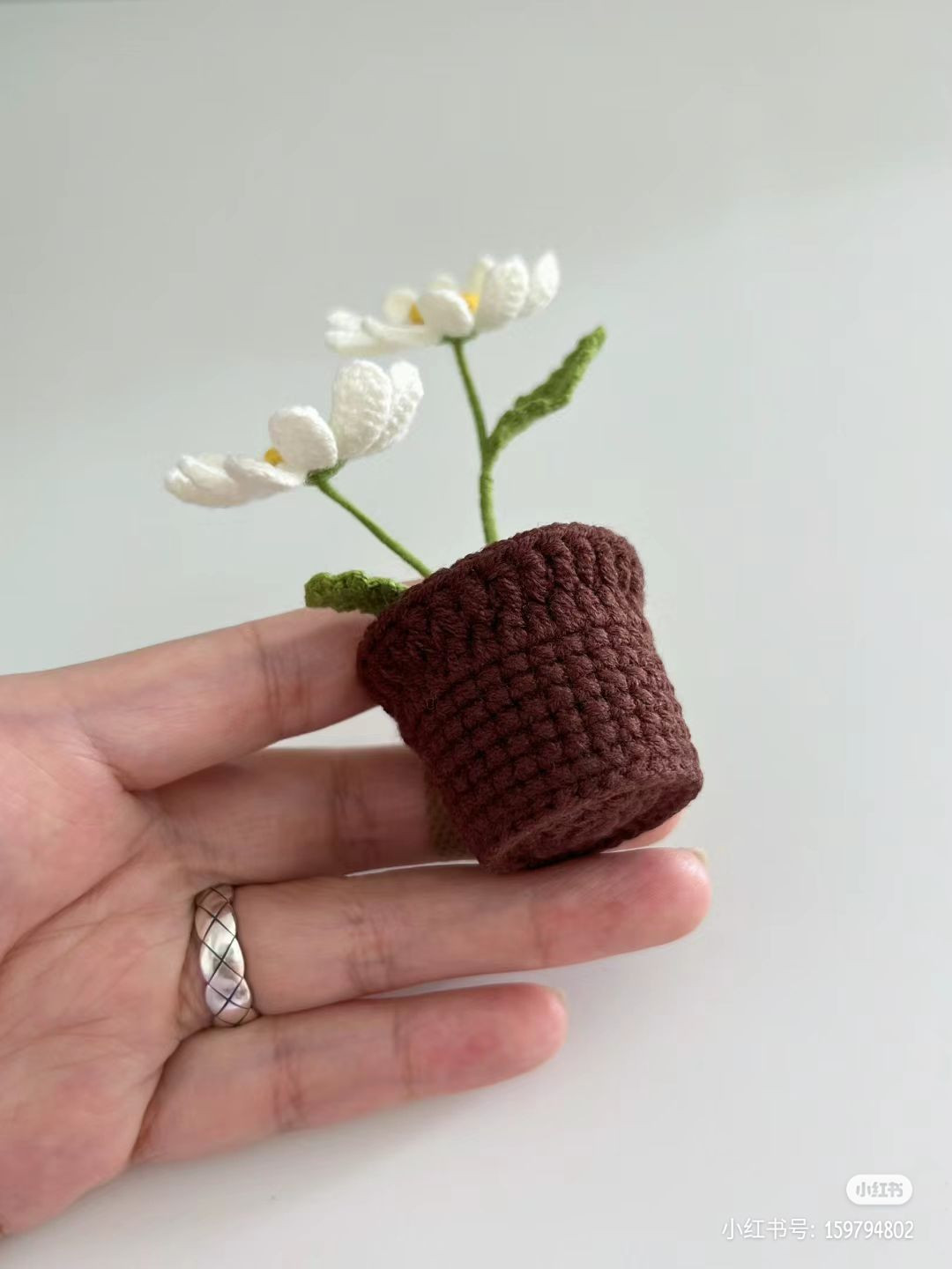 Crochet Potted Daisy Pattern with Detailed Chart