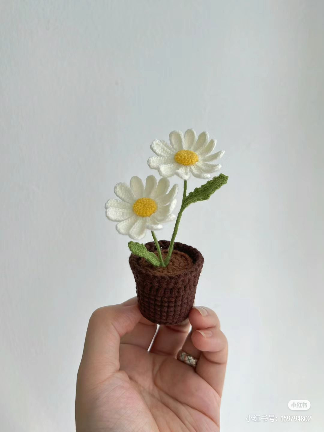 Crochet Potted Daisy Pattern with Detailed Chart