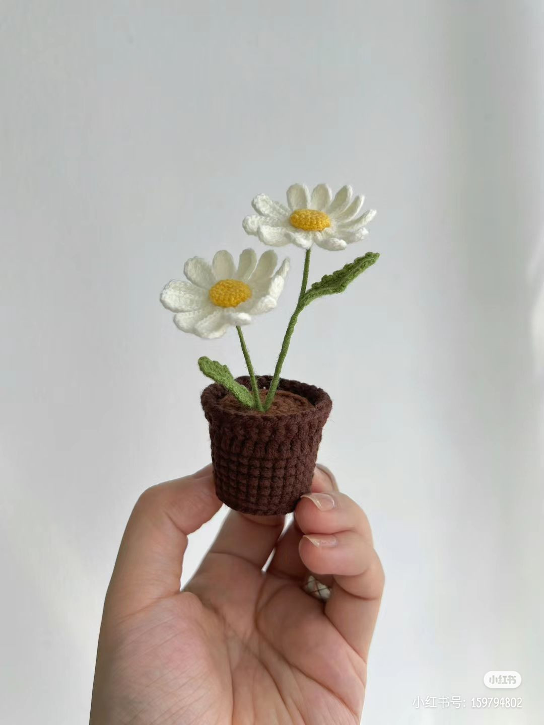 Crochet Potted Daisy Pattern with Detailed Chart
