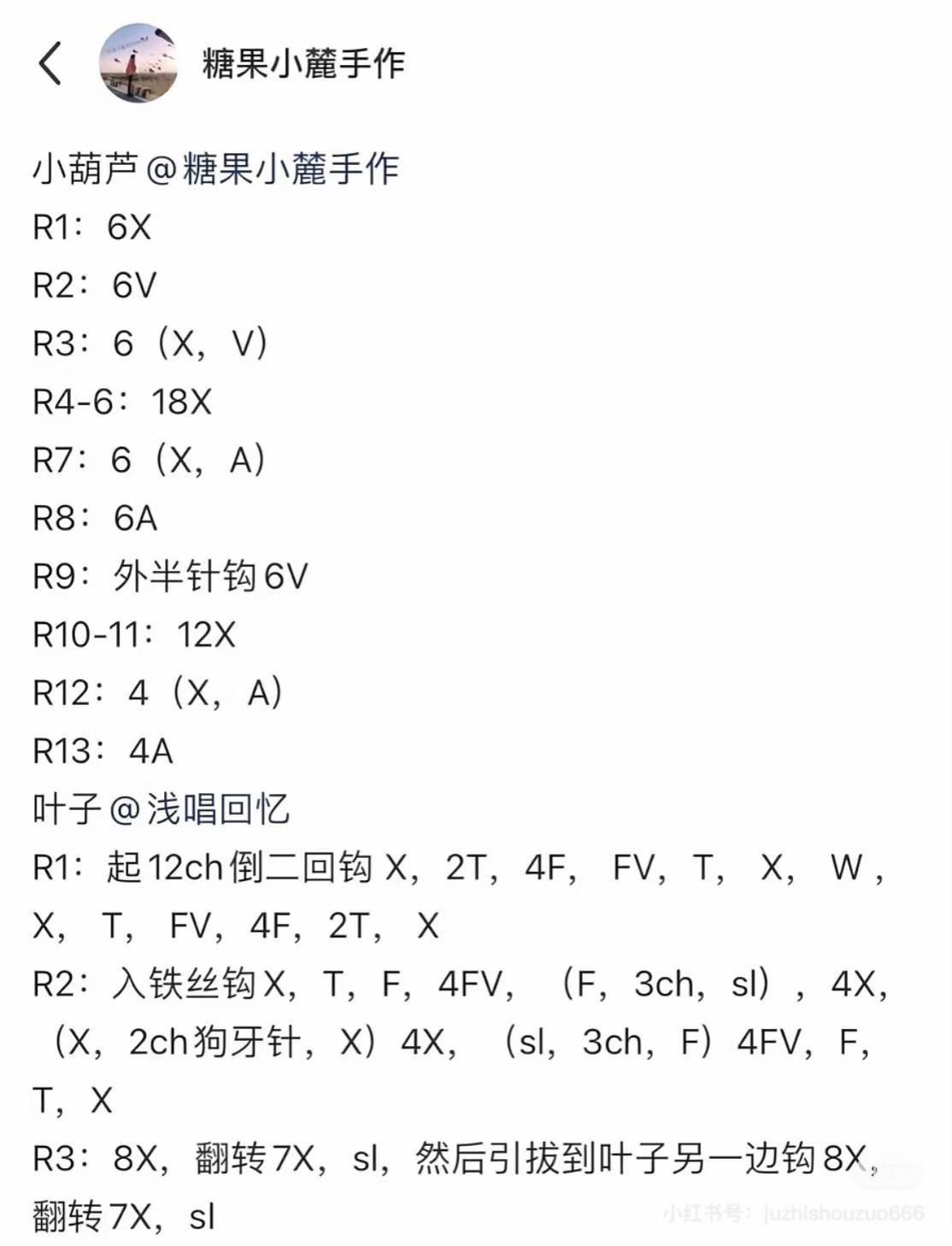 Crochet Rainbow Gourd Branch with Flowers and Leaves Pattern
