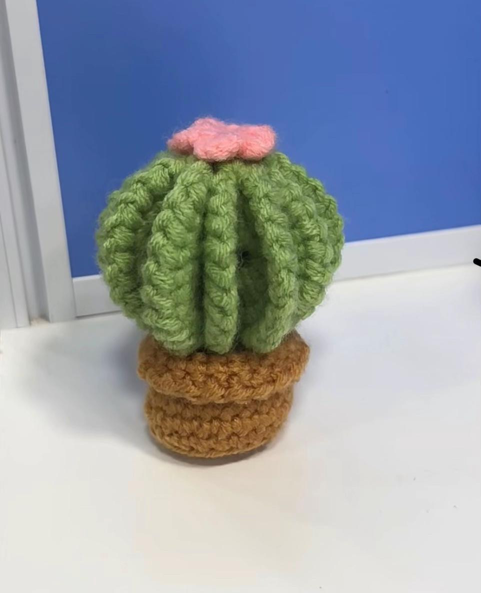 Crochet Round Cactus Pattern with Flower and Pot Instructions