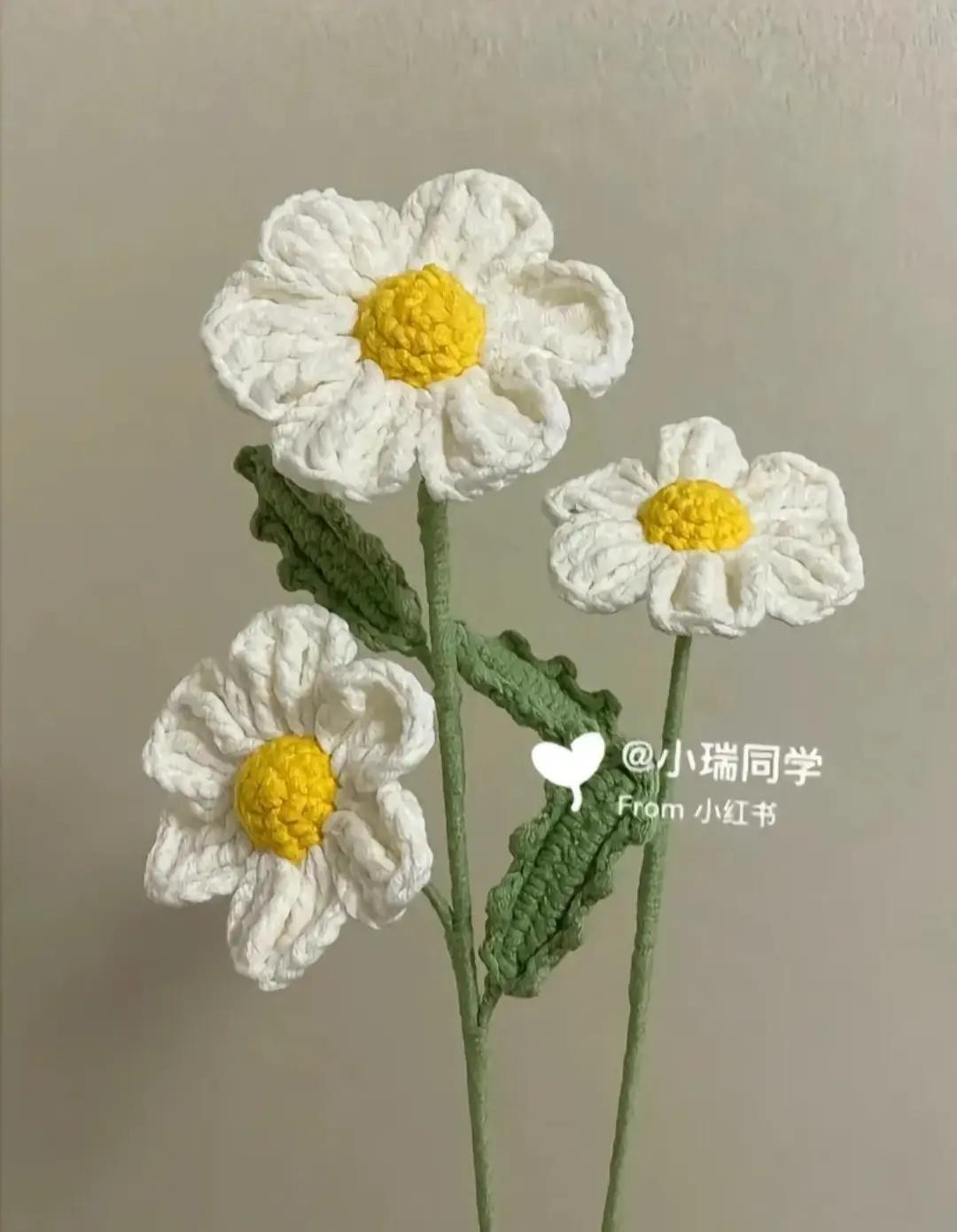 Crochet Small Daisy Flower Pattern Chart with White Petals and Yellow Center