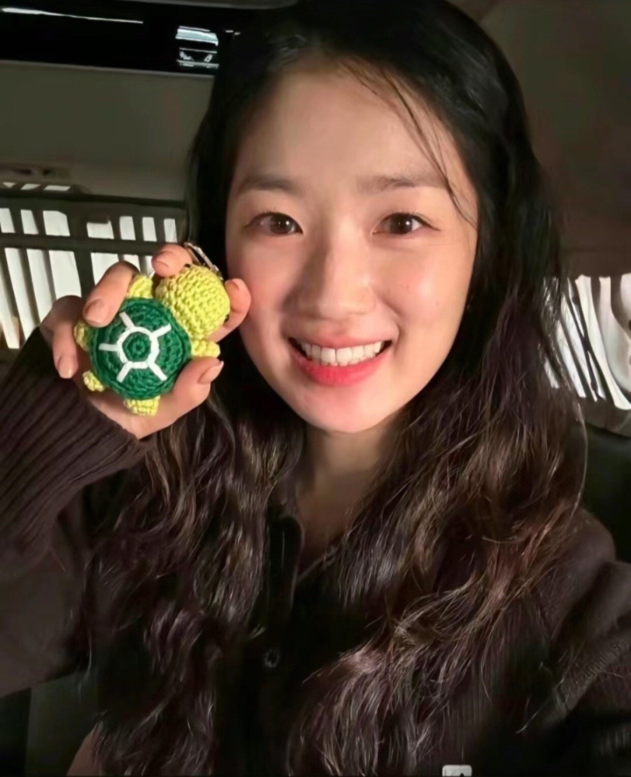 Crochet Small Turtle Pattern Chart