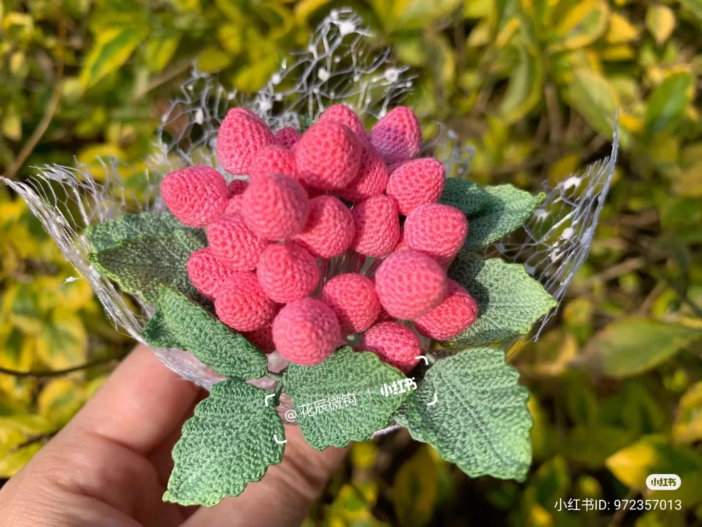 Crochet Strawberry Plant Chart: Round, Pointy & Nakazato Varieties