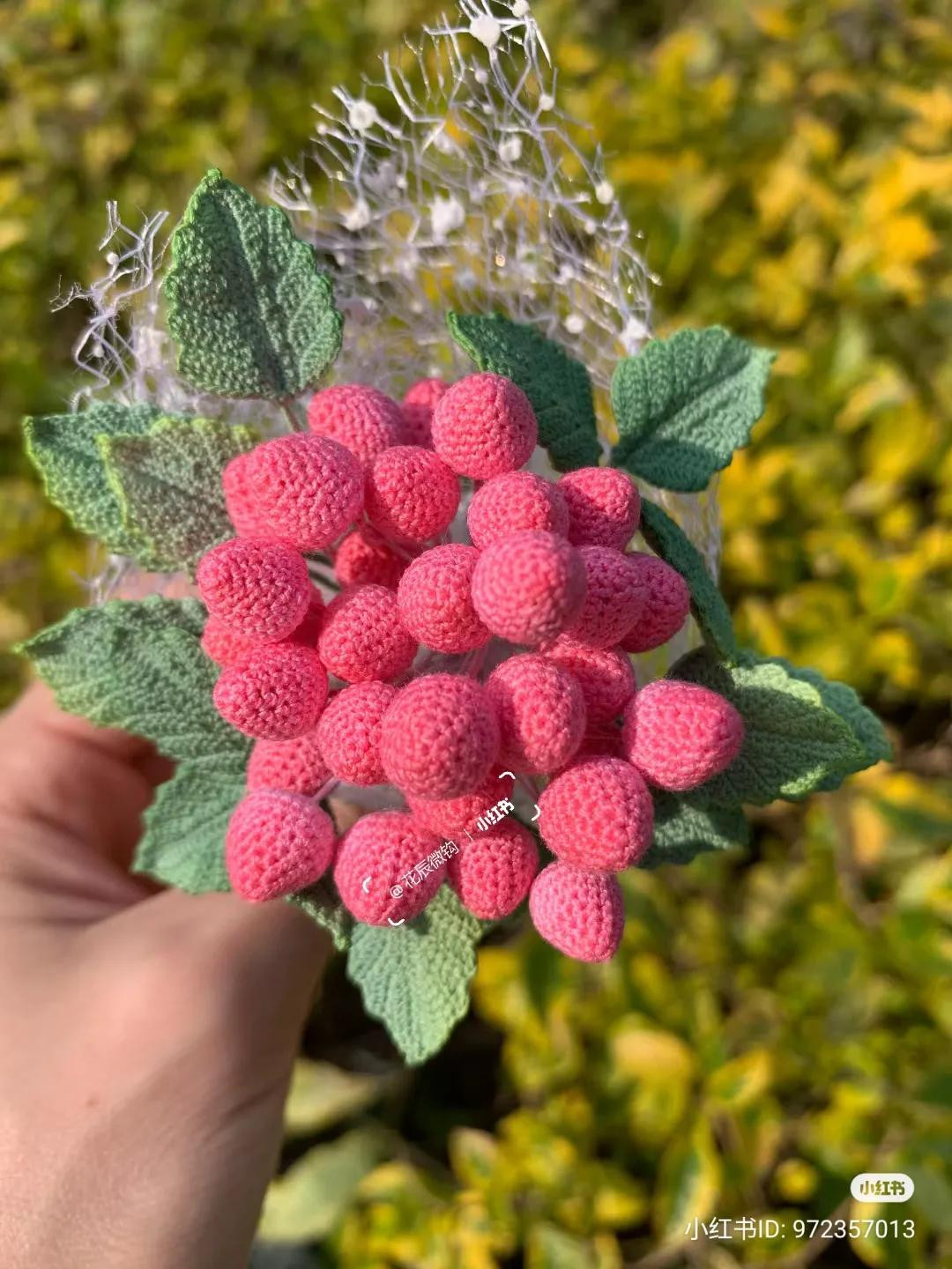 Crochet Strawberry Plant Chart: Round, Pointy & Nakazato Varieties