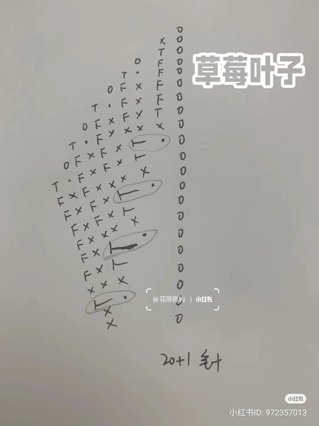 Crochet Strawberry Plant Chart: Round, Pointy & Nakazato Varieties