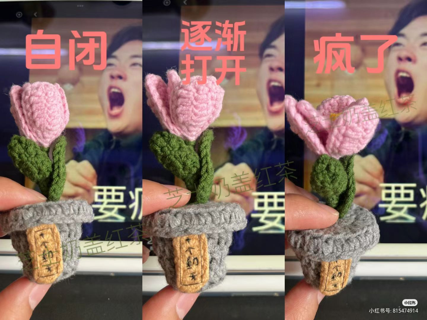 Crochet Tulip Flower in Cup Pattern Tutorial