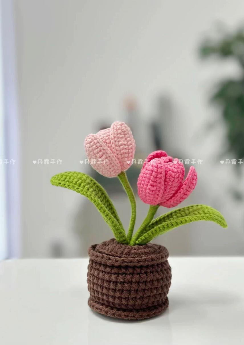 Crochet Tulip Potted Plant Pattern with Chart Instructions