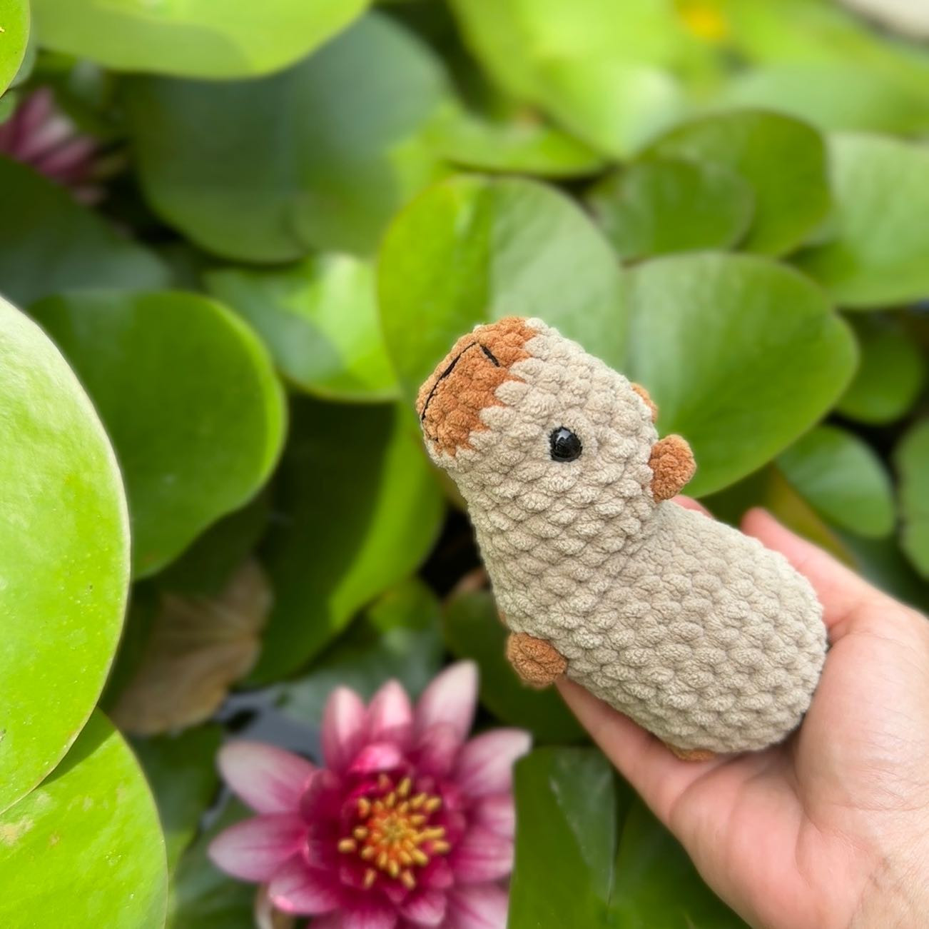 Cute Amigurumi Capybara Crochet Pattern with List of Materials and Instructions