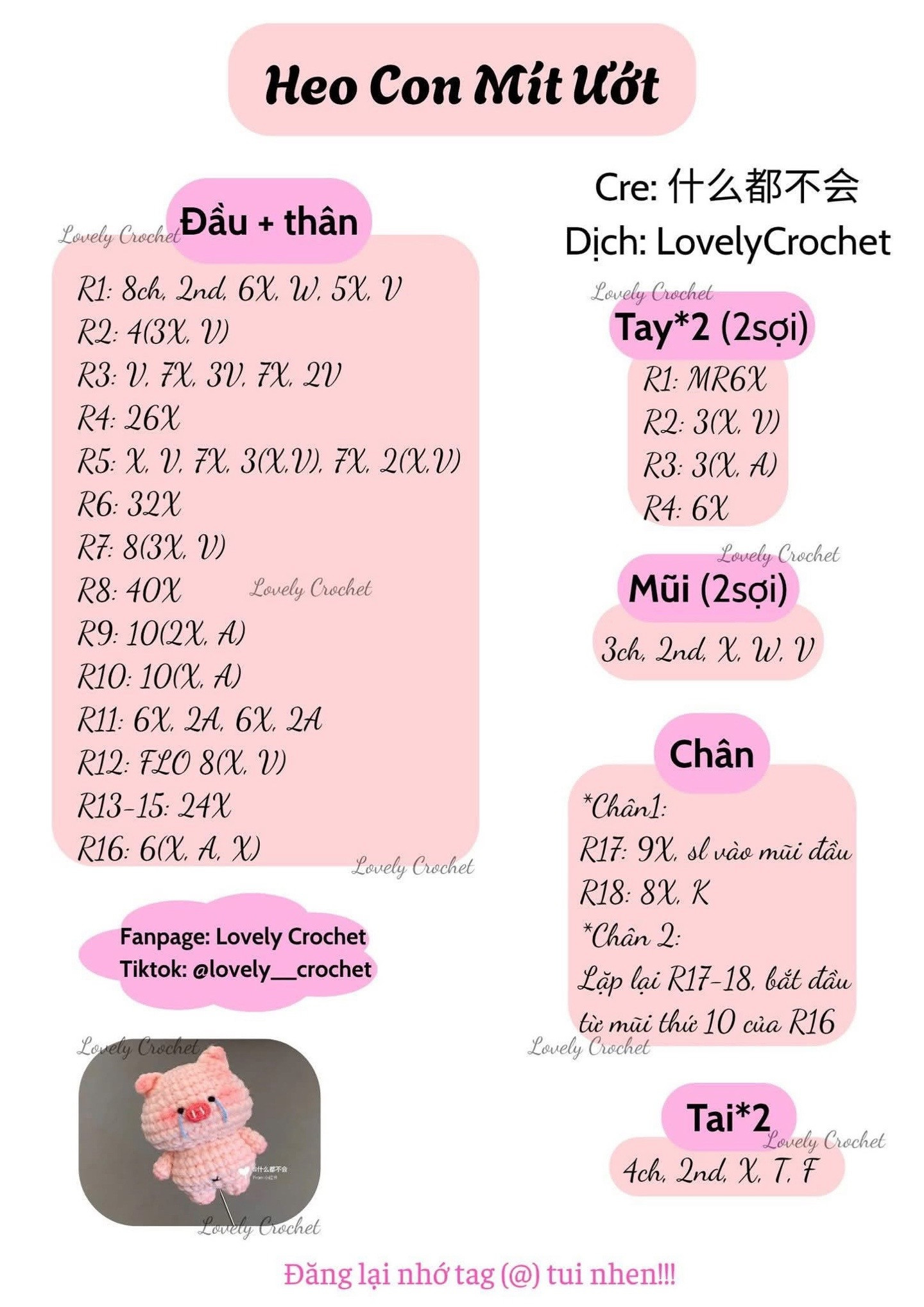 Cute Bathing Pig Amigurumi Crochet Chart