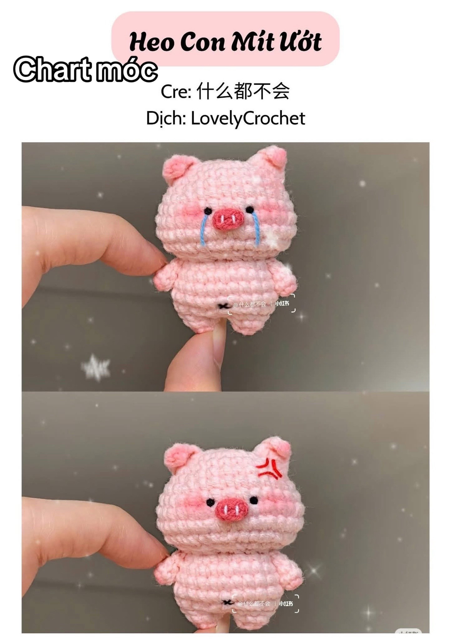 Cute Bathing Pig Amigurumi Crochet Chart
