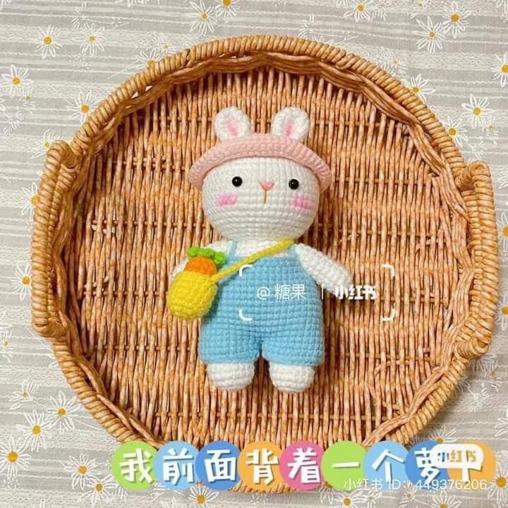 Cute Bunny Rabbit Amigurumi Crochet Pattern with Outfit and Chart
