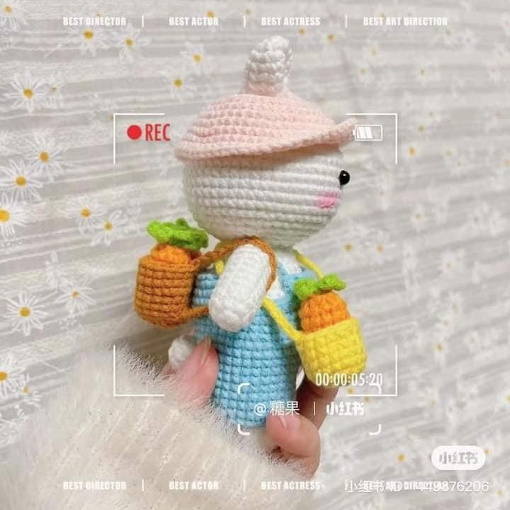 Cute Bunny Rabbit Amigurumi Crochet Pattern with Outfit and Chart