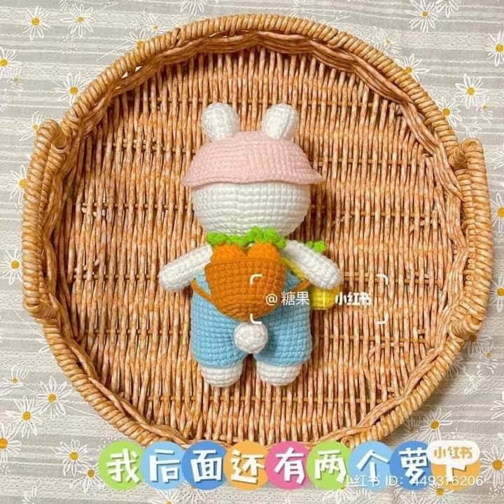 Cute Bunny Rabbit Amigurumi Crochet Pattern with Outfit and Chart