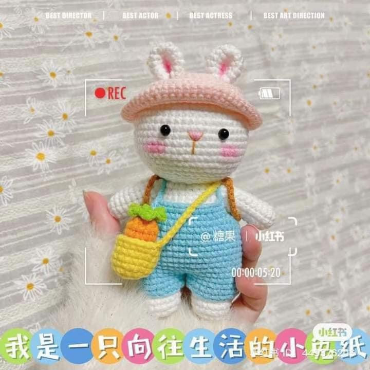 Cute Bunny Rabbit Amigurumi Crochet Pattern with Outfit and Chart
