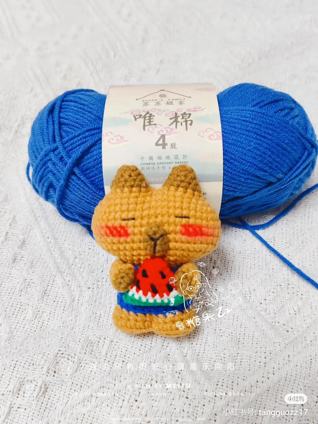 Cute Crochet Capybara Amigurumi Pattern Holding Watermelon