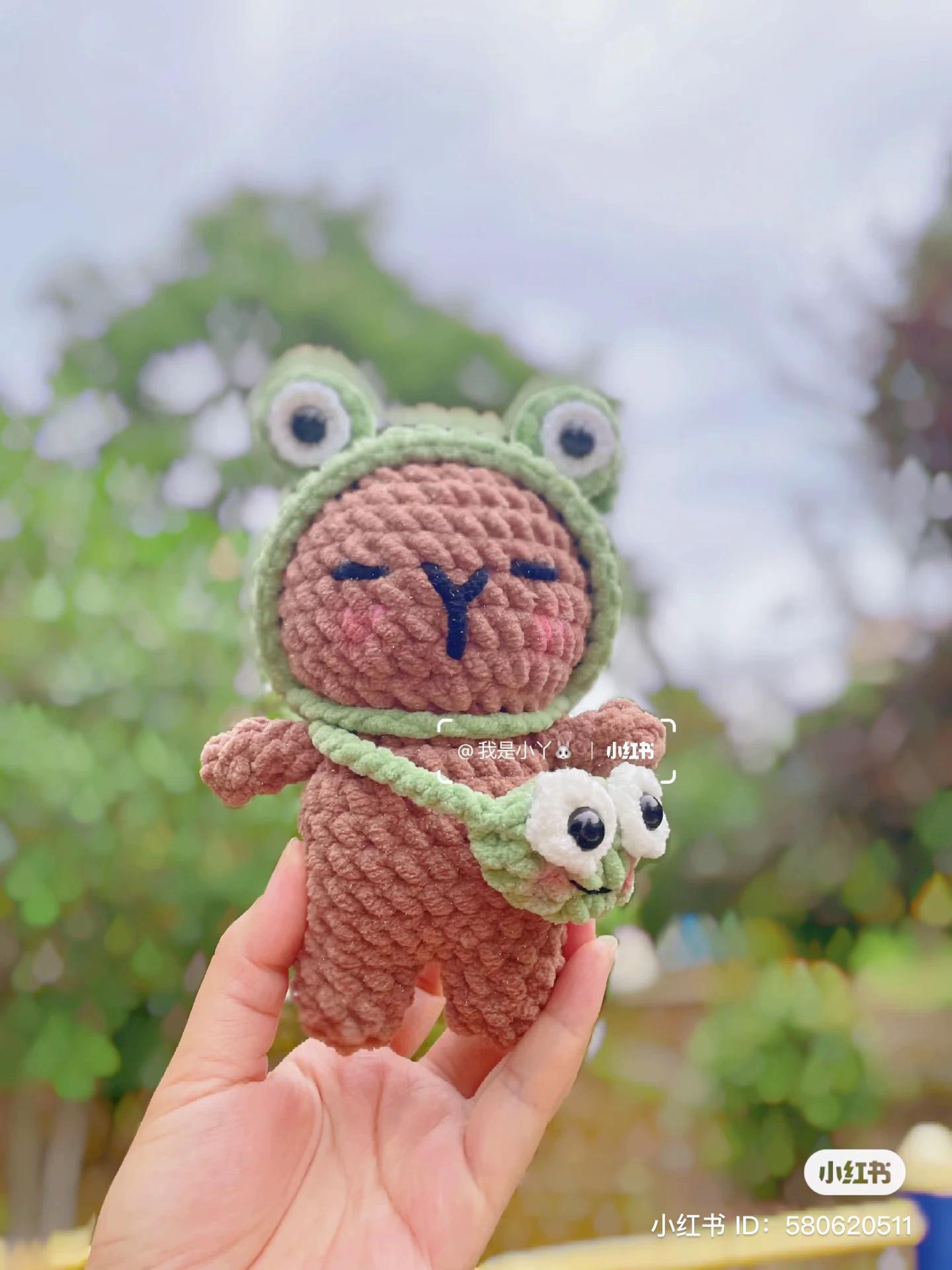Cute Crochet Capybara and Cat Dolls Pattern with Strawberry and Frog Hoodies