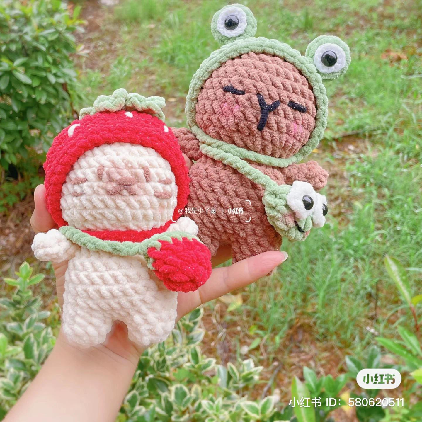 Cute Crochet Capybara and Cat Dolls Pattern with Strawberry and Frog Hoodies