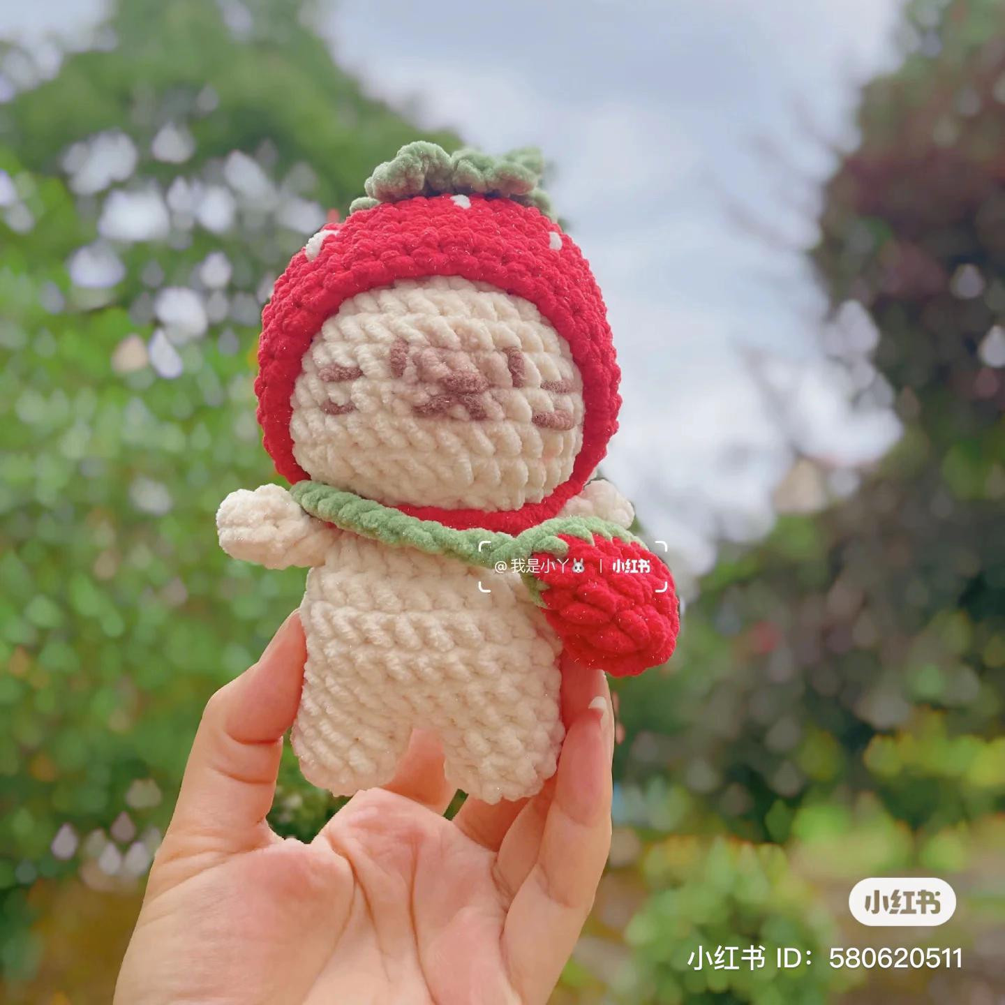 Cute Crochet Capybara and Cat Dolls Pattern with Strawberry and Frog Hoodies