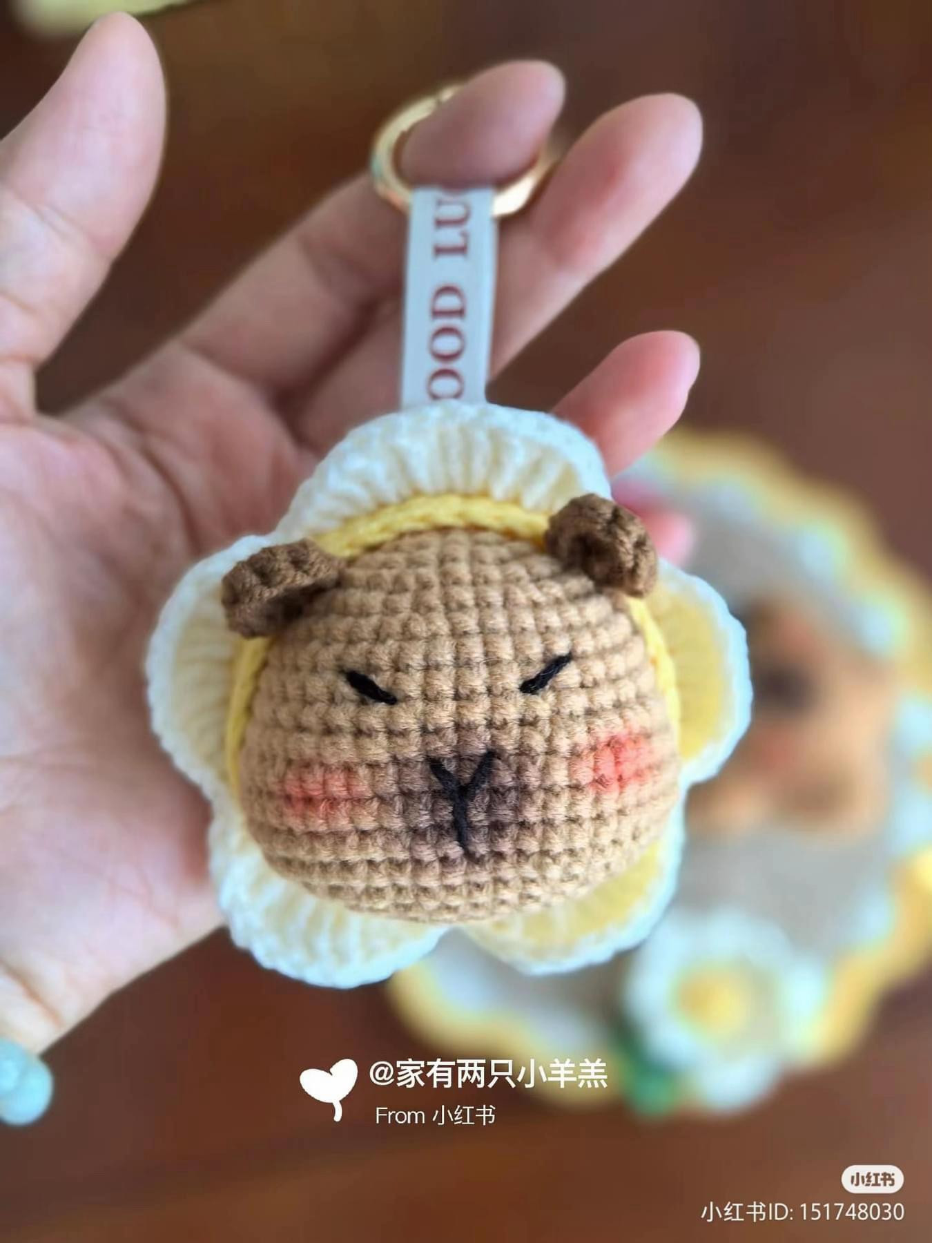 Cute Crochet Capybara Fried Egg and Star Pattern Chart with Step-by-Step Instructions