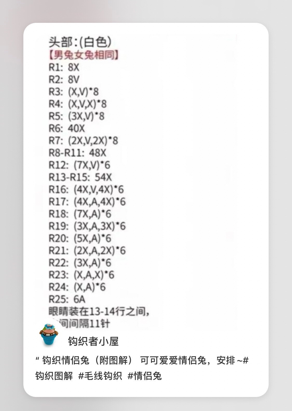 Cute Crochet Couple Rabbit Amigurumi Pattern with Detailed Chart Instructions