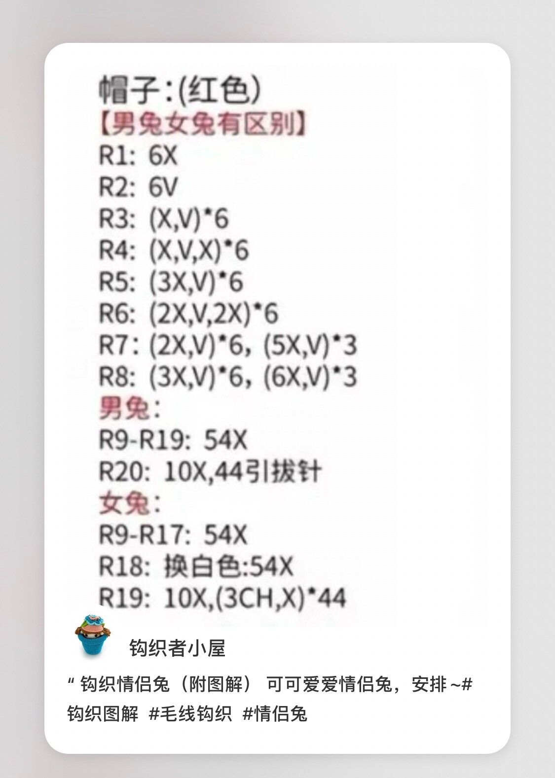 Cute Crochet Couple Rabbit Amigurumi Pattern with Detailed Chart Instructions