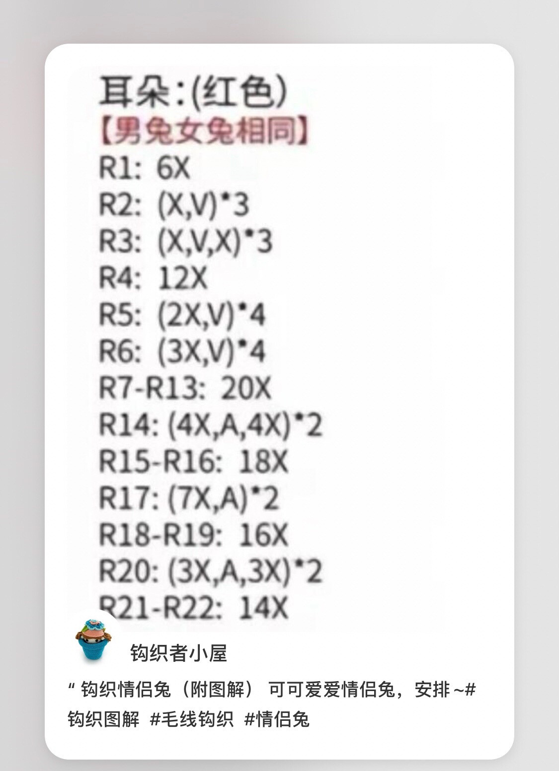 Cute Crochet Couple Rabbit Amigurumi Pattern with Detailed Chart Instructions