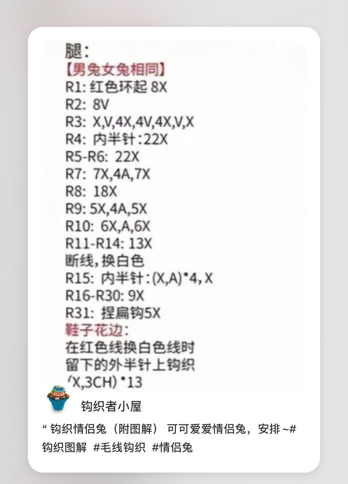 Cute Crochet Couple Rabbit Amigurumi Pattern with Detailed Chart Instructions