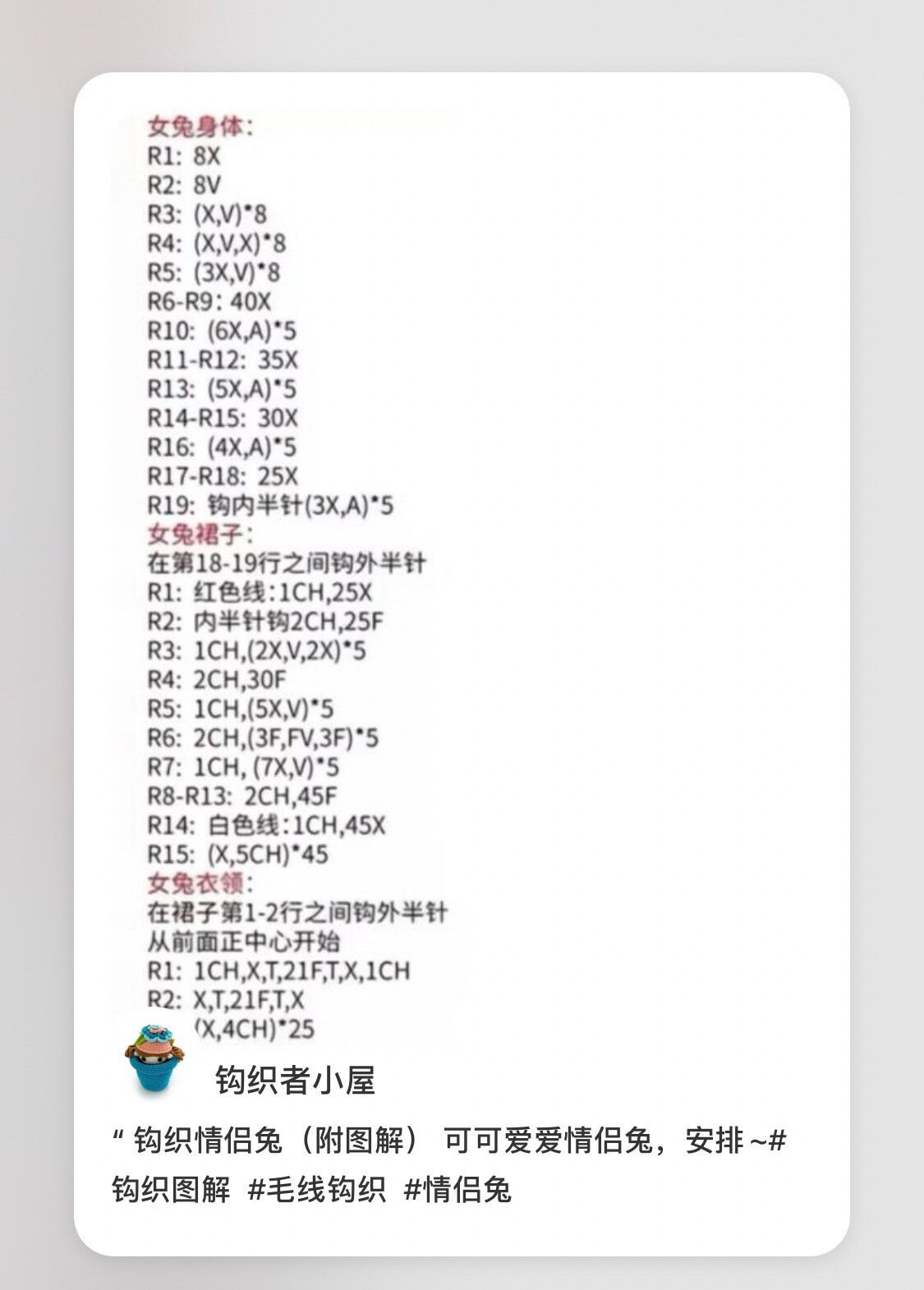 Cute Crochet Couple Rabbit Amigurumi Pattern with Detailed Chart Instructions