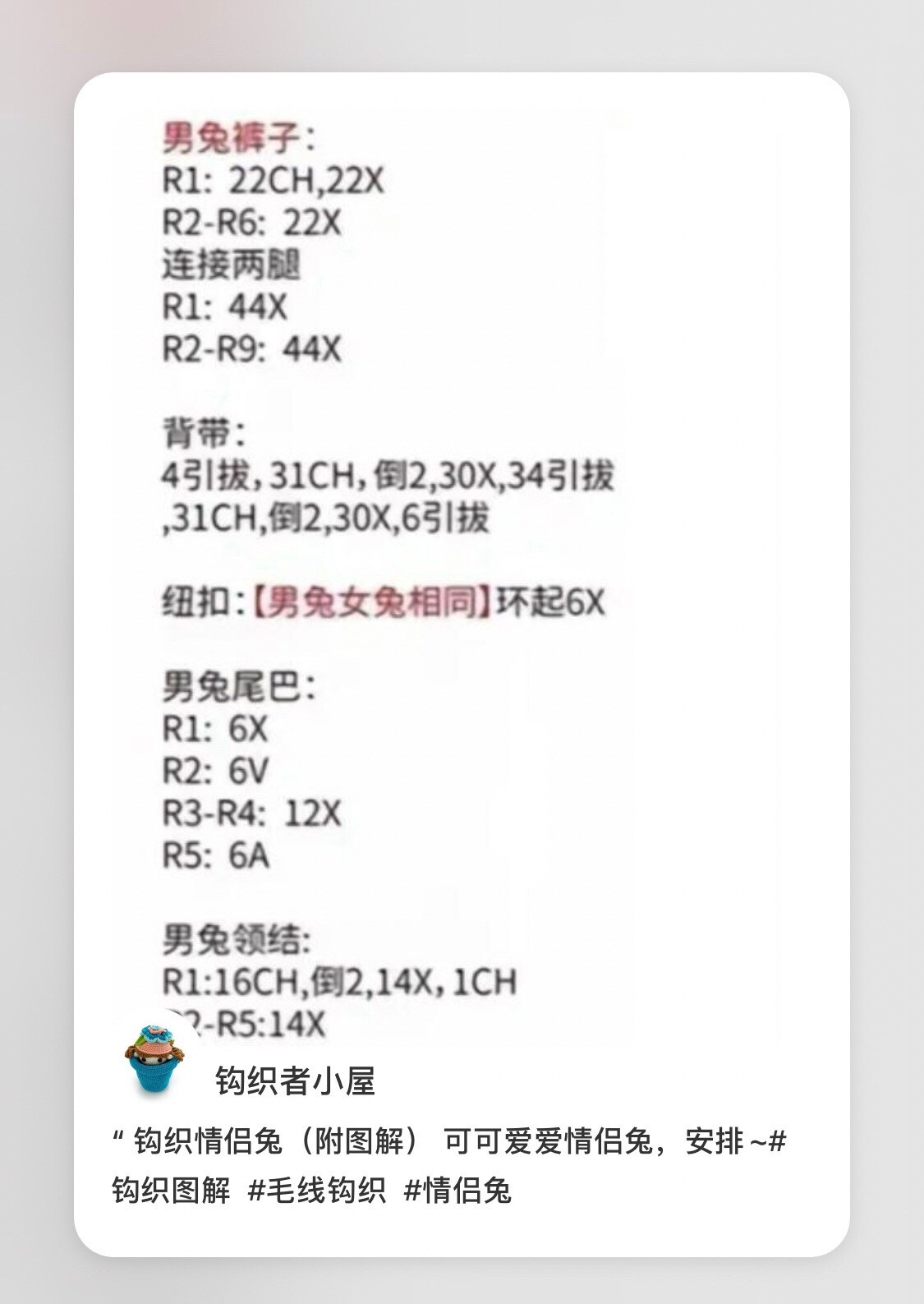 Cute Crochet Couple Rabbit Amigurumi Pattern with Detailed Chart Instructions