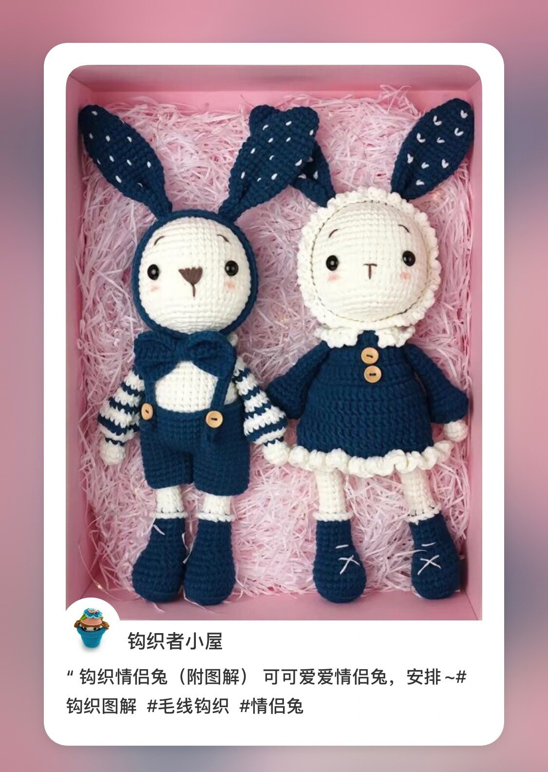 Cute Crochet Couple Rabbit Amigurumi Pattern with Detailed Chart Instructions