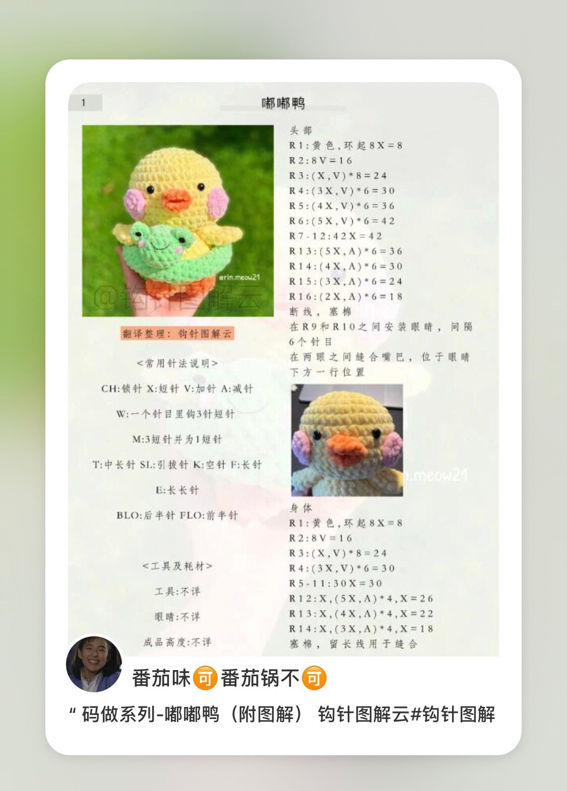 Cute Crochet Duckling in Frog Ring Lifebuoy Amigurumi Pattern